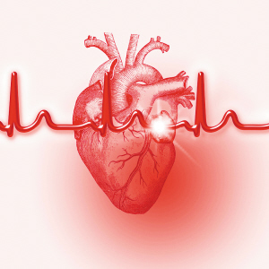 Heart：<font color="red">别嘌呤</font><font color="red">醇</font>或可降非致命性心梗风险