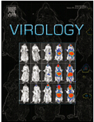 Virology：致癌病毒如何阻断人体免疫应答？