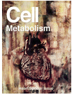 Cell Metab：胖肚子还是胖屁股？科学告诉你答案