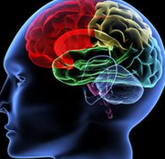 Neurology：有无房颤的患者脑白质疏松症和脑卒中复发之间的联系