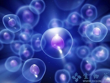 Cell reports: 反馈性抑制CREB信号促进胰岛素抵抗