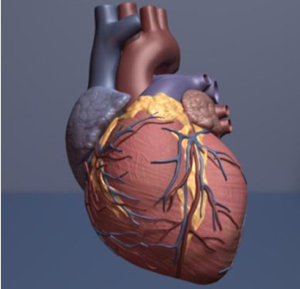 胆固醇药物不良反应可能表明动脉阻塞