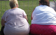 JAMA综述：对肥胖患者的评估及生活方式管理（上）