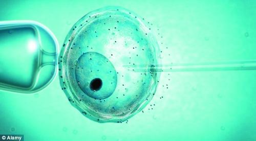 人类的基因有99.8%由父母双方共同提供，但有一小部分线粒体基因完全来自母方。如果母方的这部分基因中存在缺陷，就会将其遗传给下一代。因此，研究人员希望借助全新试管授精技术去除母亲卵子中有缺陷的线粒体，从而在更大程度上确保新生儿健康。