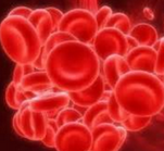 Cell stem cell：lncRNA调控<font color="red">造血</font>干细胞自我更新和谱系<font color="red">分化</font>