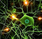 Neuron：芝加哥科学家实现光遗传学技术新突破