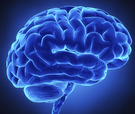 Psychological Science：人脑终生都在发展变化 否定大脑不变论