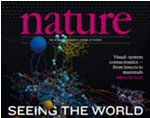 Nature：自然期刊<font color="red">发表</font>亚太地区年度科研报告