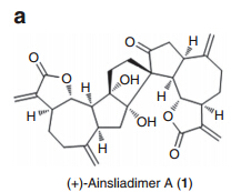 Nat Commun：天然产物Ainsliadimer A——对抗癌症和炎症<font color="red">的</font>新武器