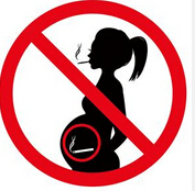 JCEM：孕妇吸烟对胎儿肝脏功能的影响是分性别的