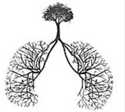 JTO：生育史和激素使用与女性肺癌发病无关
