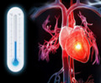 温度对心脏骤停后认知功能的影响：低温并不优于常温