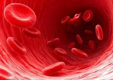 NEJM：<font color="red">输</font><font color="red">注</font>新鲜红细胞并不优于标准红细胞