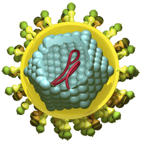 AIM：<font color="red">Grazoprevir</font>-Elbasvir联合对慢性丙肝（HCV）治疗抵抗患者有显著效果
