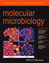 Mol Microbiol：揭秘耐药菌毒力因子的<font color="red">特殊</font><font color="red">结构</font>单元或可开发新型抗生素