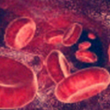 Cell death ＆ differ:类泛素化E3连接酶调节小鼠造血功能