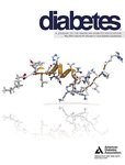 Diabetes：线粒体去乙酰化酶促进抵抗高脂诱导胰岛素抵抗