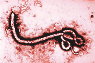 首份<font color="red">评估</font>世卫应对埃博拉报告发布
