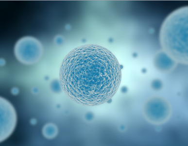 Car-T治疗实体肉瘤：细胞存活超过六周且无明显毒性反应