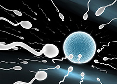 PLoS ONE：惊人发现！精子的运动性基因和个体身高直接相关
