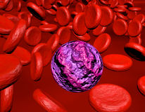 Mol Cancer：科学家发现治疗急性髓性白血病的新<font color="red">靶</font><font color="red">点</font>