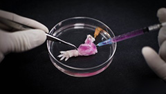 Biomaterials：有生命的生物假肢！