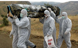 新病例出现 埃博拉在利比里亚卷土重来？