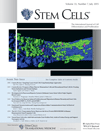 STEM CELLS：增压<font color="red">干细胞</font>创建新疗法