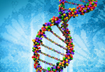 PLoS One：基因的遗传变异可导致<font color="red">卵巢</font>上皮癌的风险