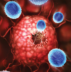 PNAS：抗癌药物分子可能会诱导癌细胞侵略性增加