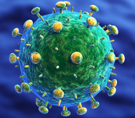 Plos pathogens：HIV病毒究竟如何逃脱免疫系统“追杀”？