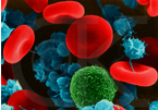 Oncogene惊人发现：非<font color="red">遗传学</font>癌症机制
