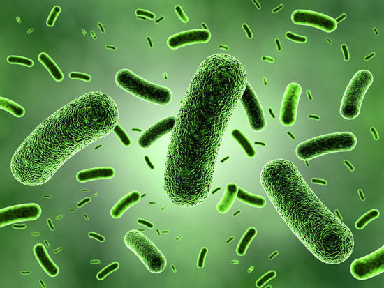 Nat Med：口腔和肠道微生物菌群异常与类风湿关节炎病理密切相关