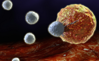 Nat Commun:磁场驱动免疫细胞成为肿瘤“专职杀手”