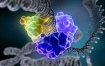 【盘点】非编码RNA与人类疾病关联性亮点研究