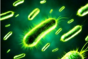 Nature：细菌对抗抗生素的秘密武器