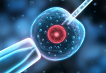 Developmental Cell：新的胚胎影像处理技术可提高体外受精的成功率