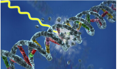 Cell：DNA损伤揭示抗癌新疗法