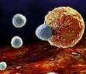Cell：模拟病毒感染带来癌症新疗法