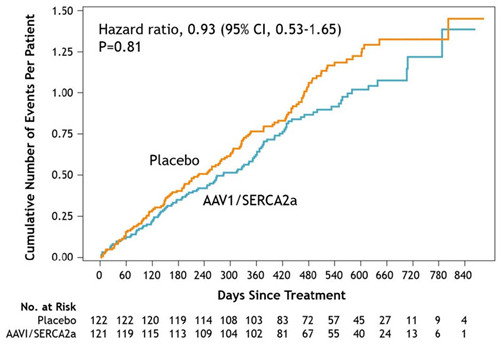ESC 2015：AAV1/SERCA2a治疗不能改善患者预后（CUPID2研究）
