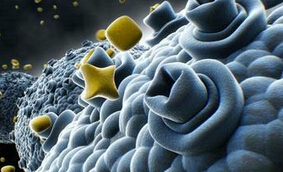 Cell metab：癌细胞为什么不睡觉？