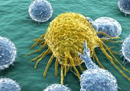 Oncogene：靶向PAT4可有效抑制肿瘤的生长