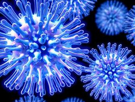 Nat med：流感病毒感染引发新型抗原呈递机制
