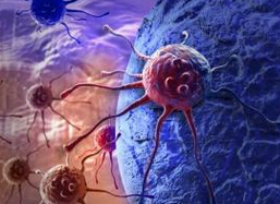 Cancer Cell：变节蛋白或可调节乳腺癌细胞对药物的<font color="red">敏感</font>性