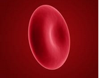 Lancet：<font color="red">红细胞</font><font color="red">生成素</font>与创伤性颅脑损伤 (EPO-TBI)