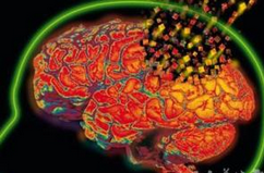 Brain：老年痴呆新靶点——IL1RAP被发现