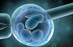 FERTIL STERIL：次优精子体外受精增加胚胎染色体异常风险