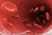 JACC：血液稀释剂可降低<font color="red">血管</font><font color="red">成形术</font>的死亡率