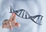 Nature：科学家发现新基因，有望开发致死性疾病新疗法