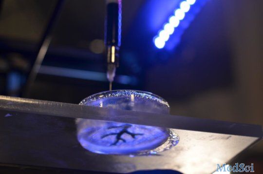 Science Advance：3D打印再创佳绩！连心脏也能打！
